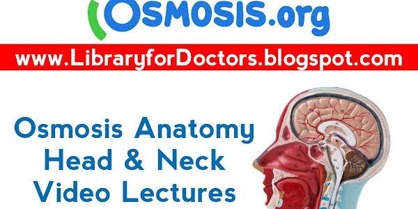 [Osmosis] Anatomy Head & Neck Video Lectures Download FREE Link