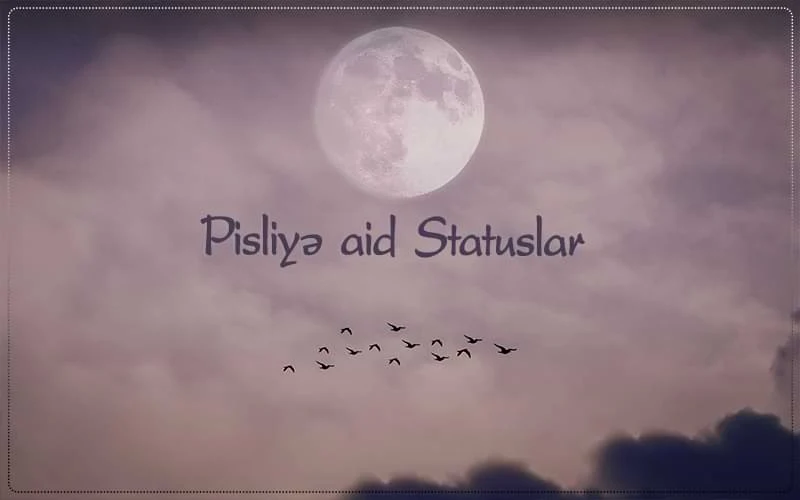 Pisliye aid statuslar,Pisliyə Aid Statuslar pislik etmək