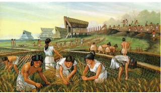 Sejarah Pertanian dan Peternakan Sebagai Pekerjan Paling Tua Di Dunia, Siapa penemu pertanian pertama kali?, Siapa Petani Pertama di Dunia?