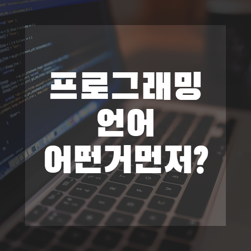 프로그래밍언어어떤거먼저배워야하나
