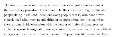 The final, and most significant, failure of the social justice movement is in the issues they prioritize. These tend to be the concerns of highly educated people living in affluent liberal enclaves; people, that is, who have never experienced what most people think of as oppression. Feminist activists show a remarkable obsession with the gender of fictional characters. As violence against transgender people is common, trans activists focus political energy on the introduction of gender-neutral pronouns like ze and hir.