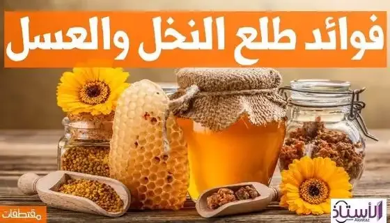 Benefits-of-palm-pollen-and-honey-for-men-and-women