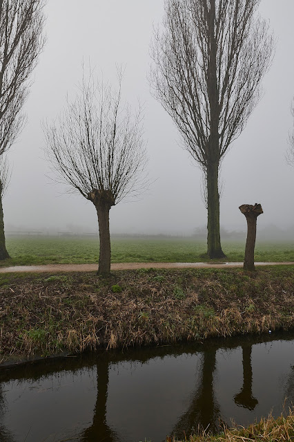 www.jetjesdag.nl | Nicolaas/S fotografie | Mist in De poelpolder in Lisse