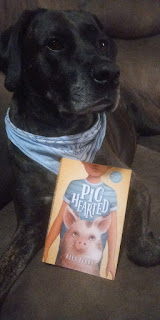 #NewBook #DebutAuthor #2021Books Spotlight on New Book Debut Author Alex Perry #pig #dog #organtransplant