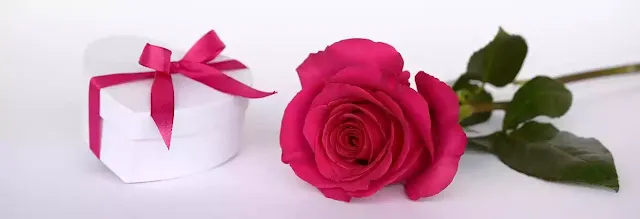 Rose Day Wishes for Girlfriend