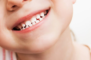 Khám phá răng sữa có bao nhiêu cái từ chia sẻ chuyên gia-2