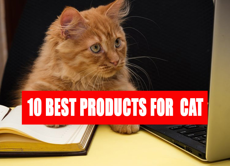 PRODUCTS FOR YOUR CAT