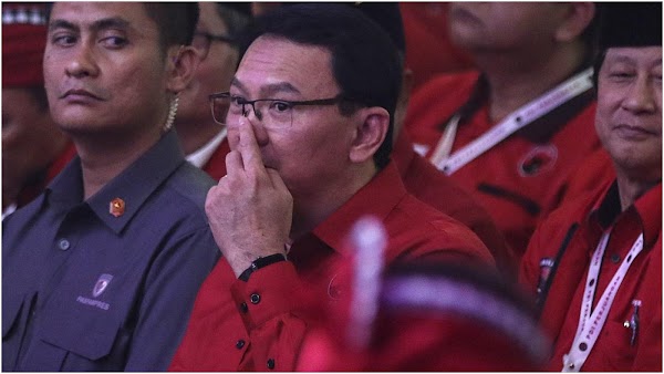 Selain Ahok, PDIP Juga Punya 3 Calon Kepala Otorita IKN Nusantara Lainnya, Nih Orang-orangnya