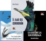 TODOS MIS LIBROS EN LIBRERÍAS Y EN TUNDRA EDITORIAL