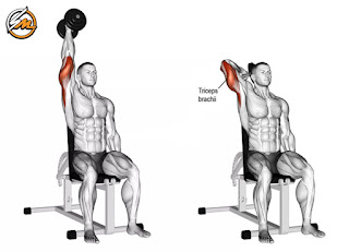 The 6 Most Effective Triceps Exercises