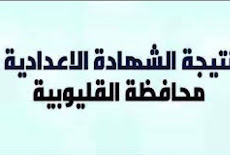 نتيجة الشهادة الاعدادية محافظة القليوبية 2024 برقم الجلوس بالاسم نتيجة الصف الثالث الاعدادى التيرم الاول التيرم الثانى نهاية العام qalubia