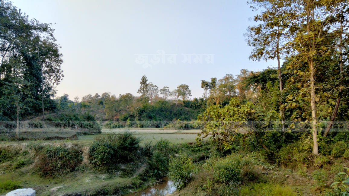 জুড়ী লাঠিটিলা সাফারি পার্ক: ২০৩ কোটি টাকার প্রাণী কেনার পরিকল্পনা