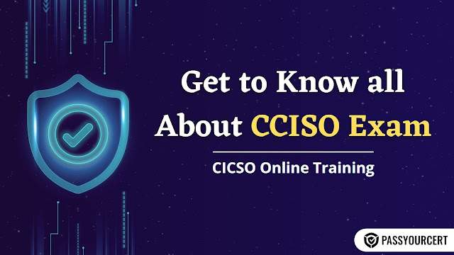 cciso online training