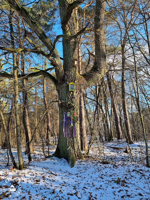 Kampinoski Park Narodowy