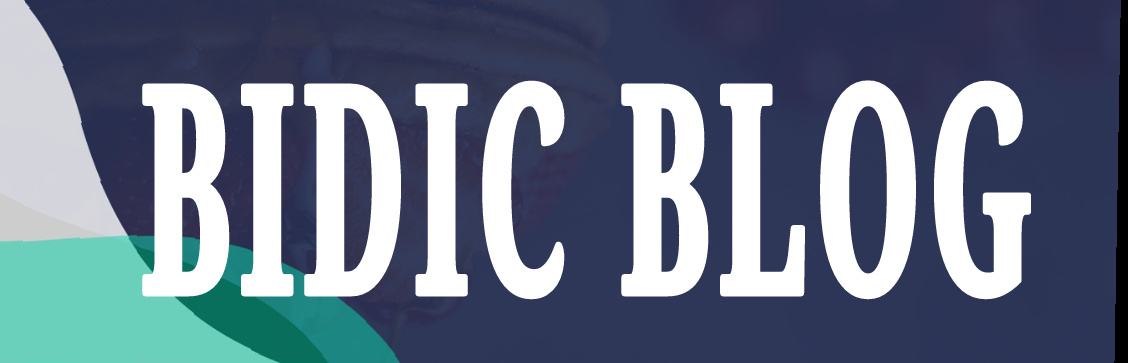 Bidic Blogs