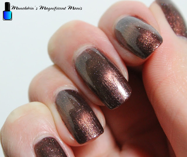 Holo Taco- Magnetic Polish- Fairy Tail