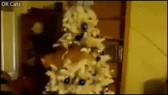 Xmas Cat GIF • DES-TRUC-TiON! Naughty cat wildly destroying the Christmas 🎄 tree. CATastrophe! (6-7)