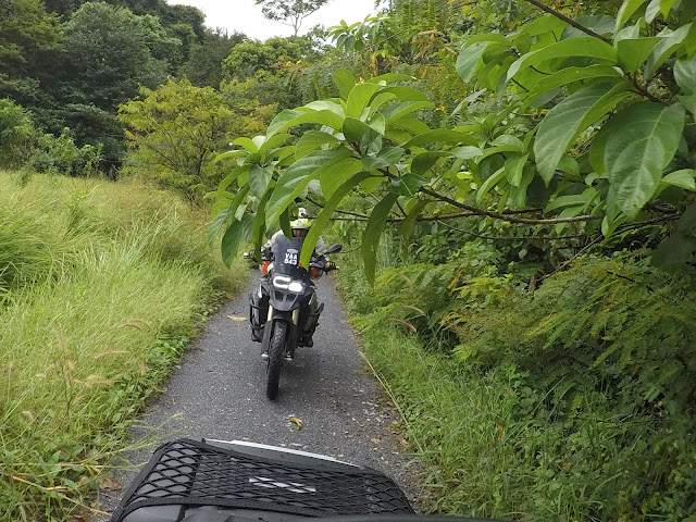 Mari bukit chabang Susu Kambing