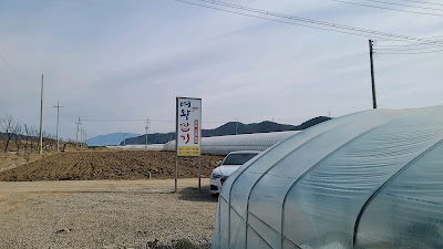 경북 고령 딸기체험 교육장-여왕딸기 비닐하우스 전경