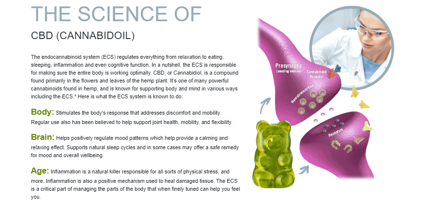 HempLeafz CBD Gummies Canada Reviews – Shocking Side Effects &amp; Customer  Complaints – LexCliq