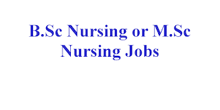 B.Sc Nursing or M.Sc Nursing Jobs