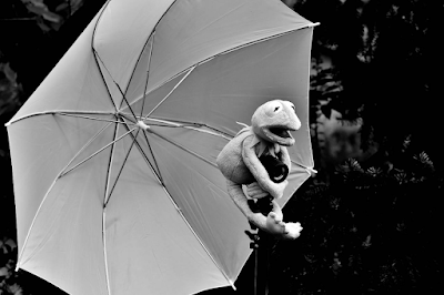 black and white umbrella