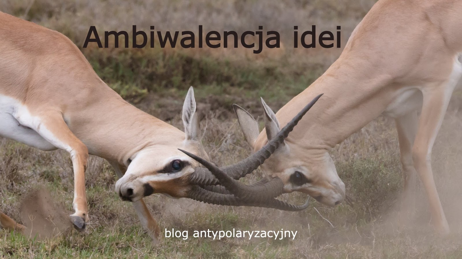 Ambiwalencja idei