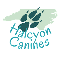 Halcyon Canines
