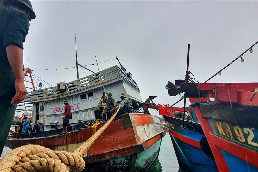 Ninh Thuận: Tàu thuyền hối hả vào cảng tránh áp thấp nhiệt đới