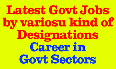 Career in Government Sectors