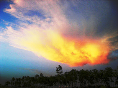 bright, sun coloured clouds.