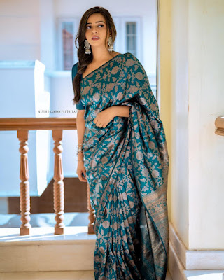 Serial Actress Divya ganesh beautiful saree stills