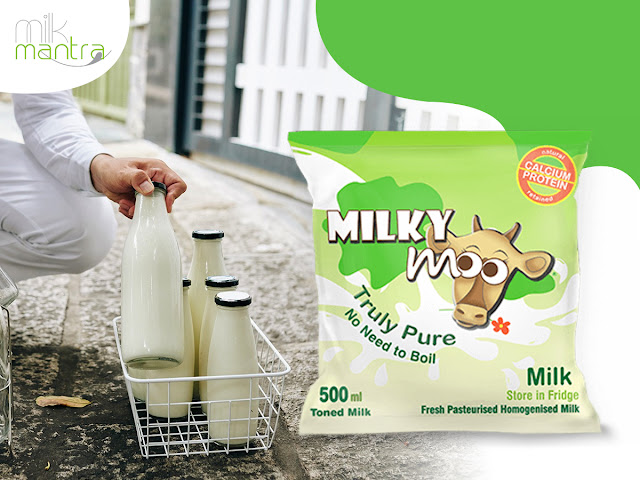 Daily milk delivery in Rourkela