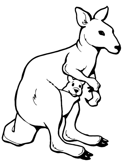Cartoon kangaroo coloring pages