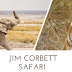 A Few Things to Consider While You Plan for Jim Corbett Safari Booking