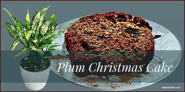 How to make traditional Plum Christmas Cake.