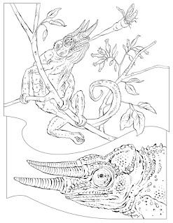 Best ocean coloring pages