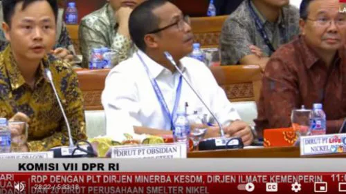 Momen DPR Tegur Direktur Perusahaan China karena tak Pakai Bahasa Indonesia di Sidang