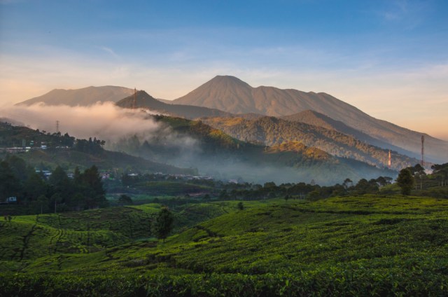 Taman Nasional Gunung Gede Pangrango : Sejarah, Lokasi, Vegetasi, Keragaman Hayati