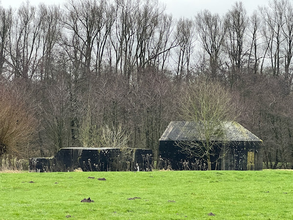 Bunker bij Fort bij Rijnauwen, januari 2022