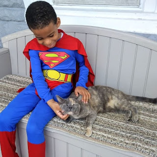 La historia del niño de 5 años que se disfrazaba de superhéroe para ayudar a los gatos sin hogar