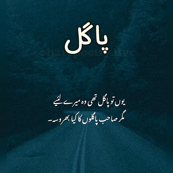 Pagle Urdu 2 Line Shayari in Urdu image
