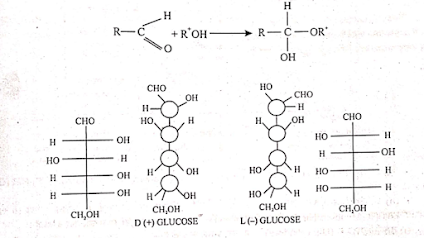 General Structure of Carbohydrates