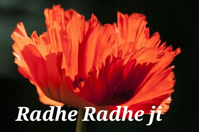 Radhe Radhe Ji