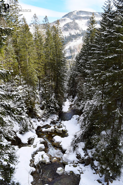 Montes Tatras - Morskie Oko