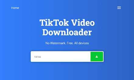 Snaptik - TikTok Video Downloader