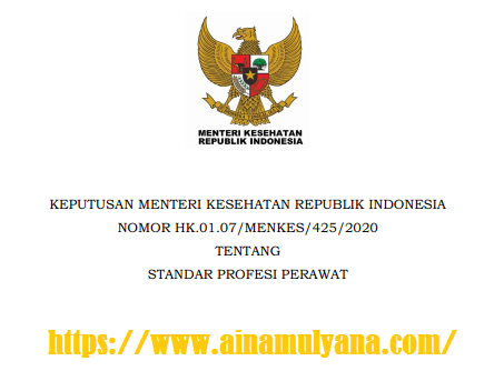 Keputusan Menteri Kesehatan KMK atau Kepmenkes Nomor HK.01.07-MENKES-425-2020 Tentang Standar Profesi Perawat