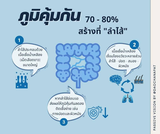 โพรไบโอติก พรีไบโอติก จุลินทรีย์ช่วย โรคกรดไหลย้อน  ท้องผูก  ลำไส้แปรปรวน