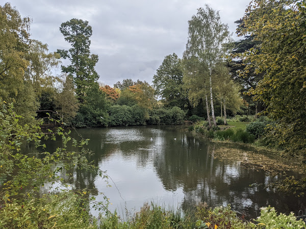 Lily pond at the side of the Chantry