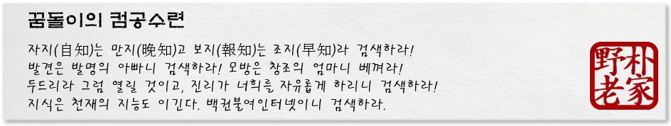 꿈돌이의 컴공수련